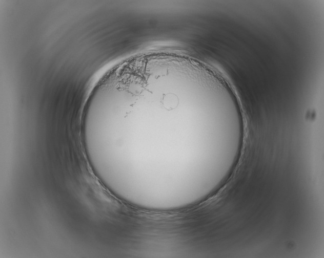 X0000114021336200911131218