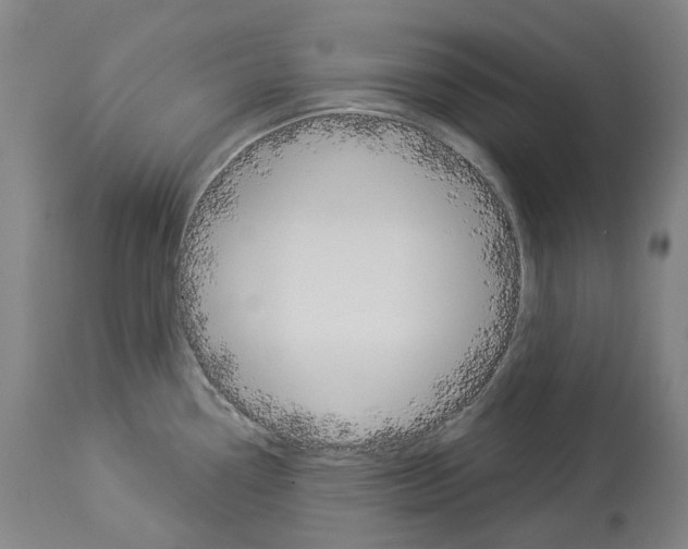 X0000114021338200911131218