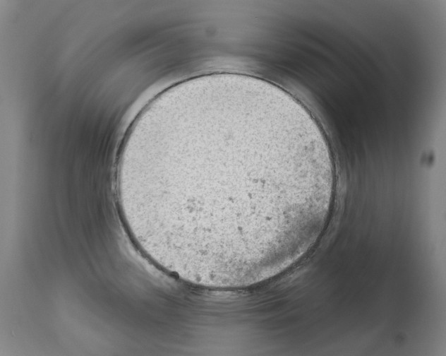 X0000114021339200911131218