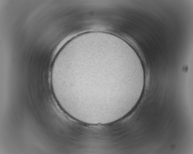 X0000114021340200911131218