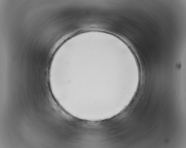 X0000114021341200911131218