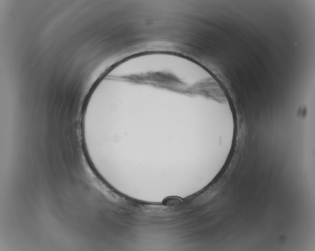 X0000114021342200911131218