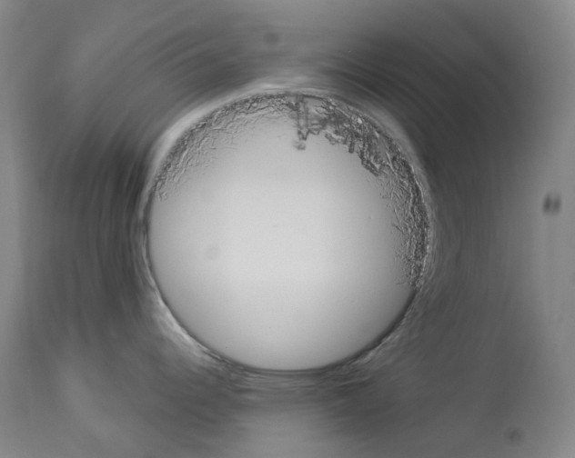 X0000114021344200911131218