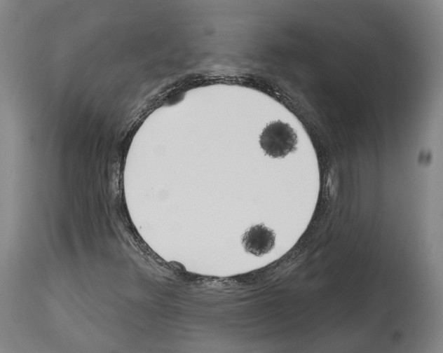 X0000114021348200911131217