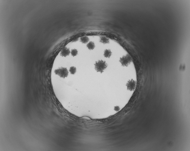 X0000114021351200911131217
