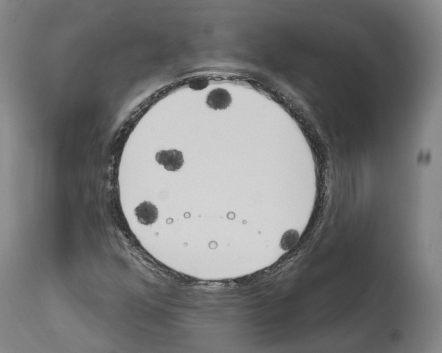 X0000114021352200911131217