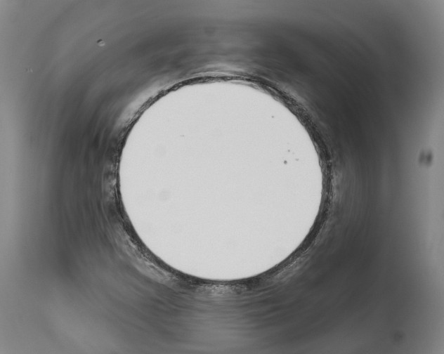 X0000114021355200911131217