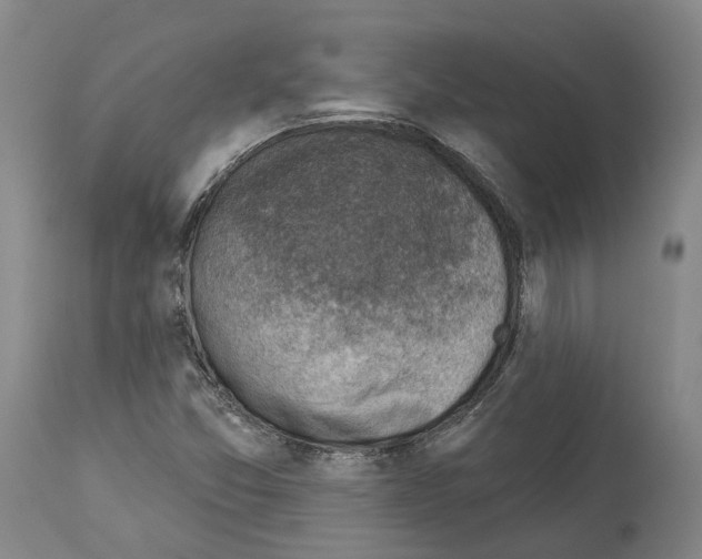 X0000114021357200911131217