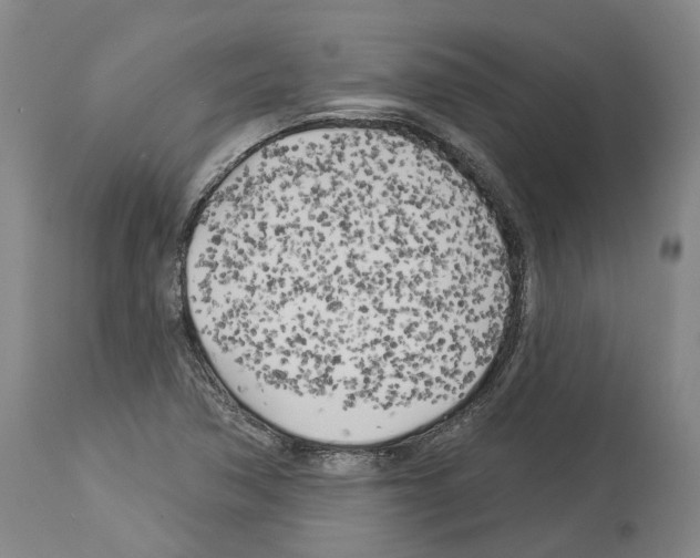 X0000114021362200911131217