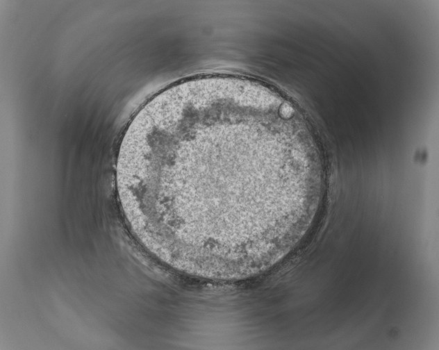 X0000114021363200911131217