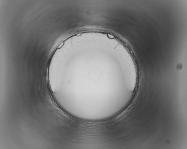 X0000114021365200911131217