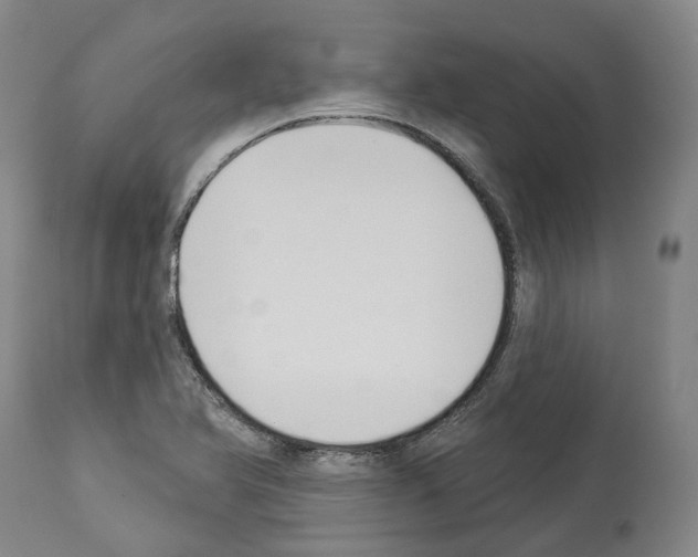 X0000114021366200911131217