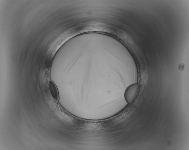 X0000114021369200911131217