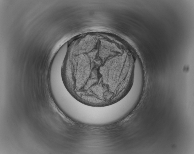 X0000114021373200911131217