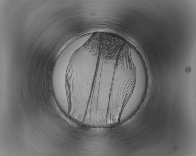 X0000114021377200911131217