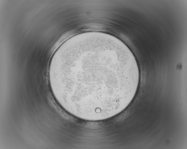 X0000114021378200911131217