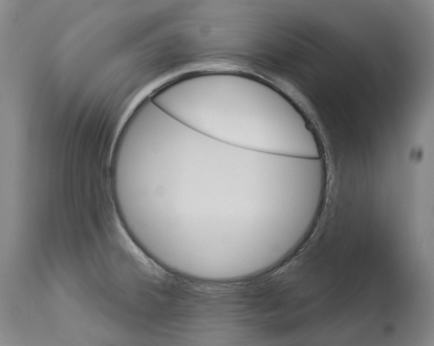 X0000114021380200911131217