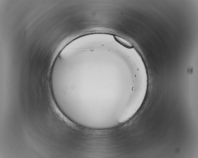 X0000114021381200911131217