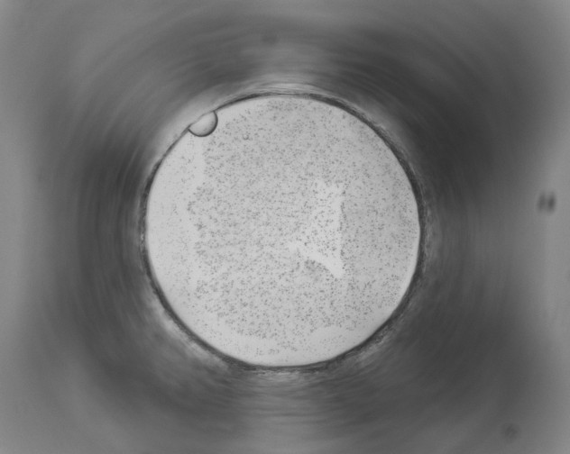 X0000114021382200911131217