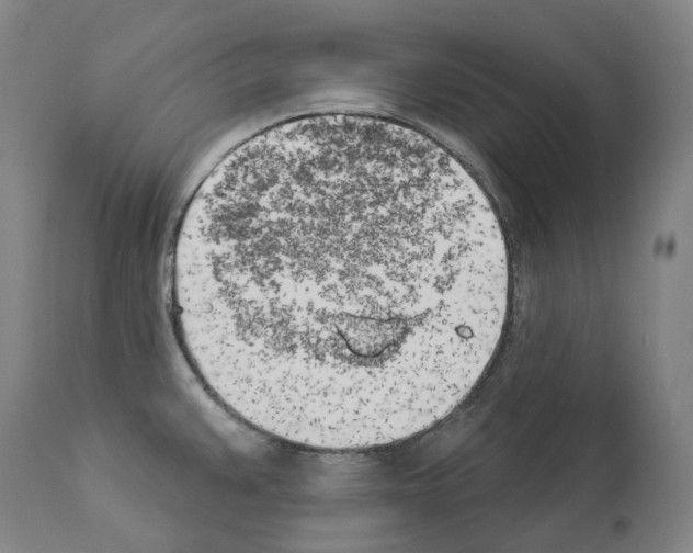 X0000114021383200911131217