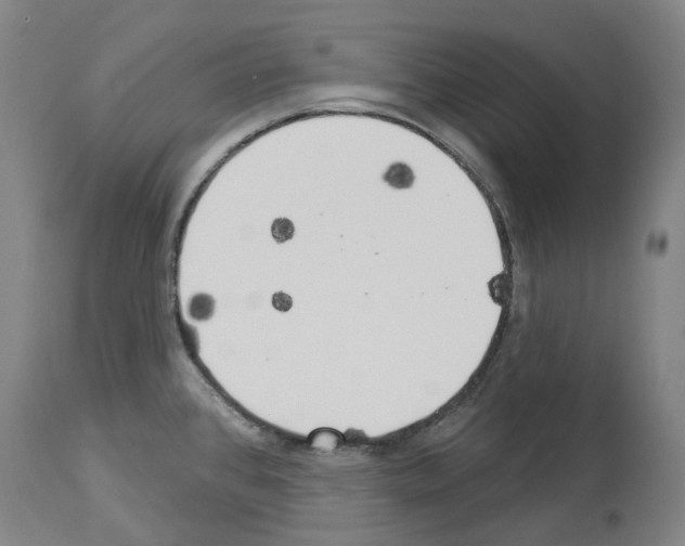 X0000114021384200911131217