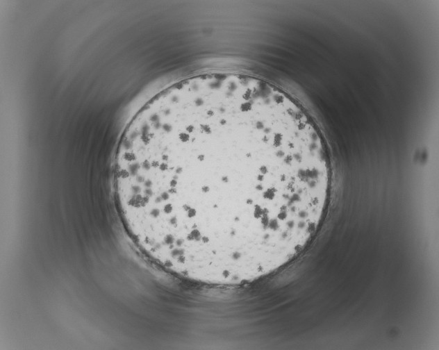 X0000114021386200911131217