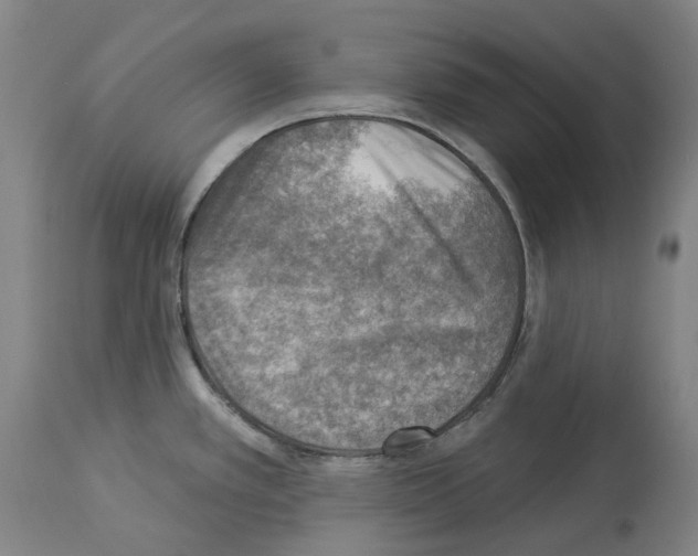 X0000114021389200911131217