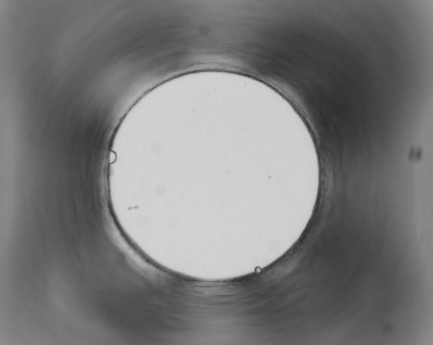 X0000114021391200911131217