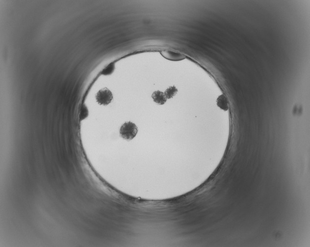 X0000114021392200911131217