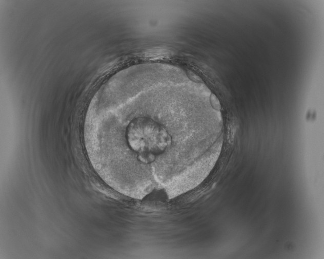 X0000114021393200911131216