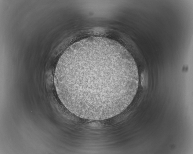 X0000114021395200911131216