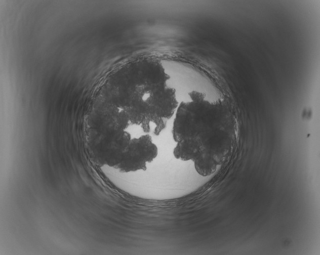 X0000114021396200911131216