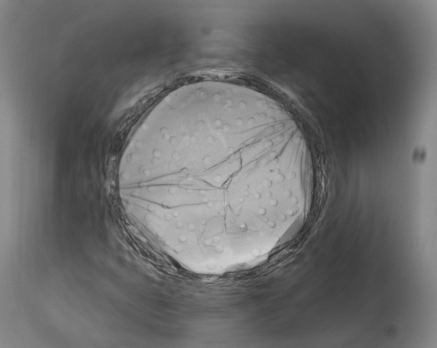 X0000114021399200911131216