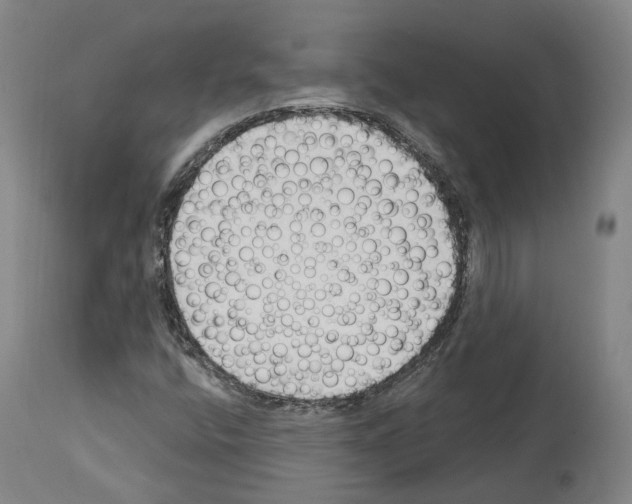 X0000114021400200911131216