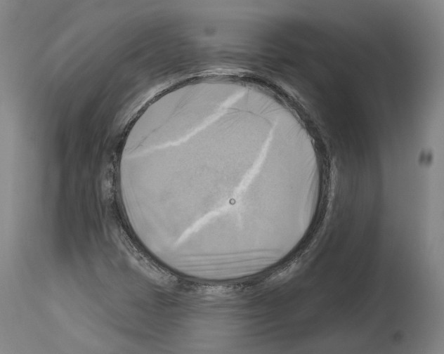 X0000114021401200911131216