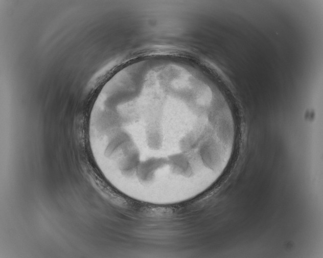 X0000114021403200911131216