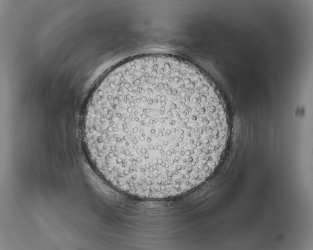 X0000114021404200911131216