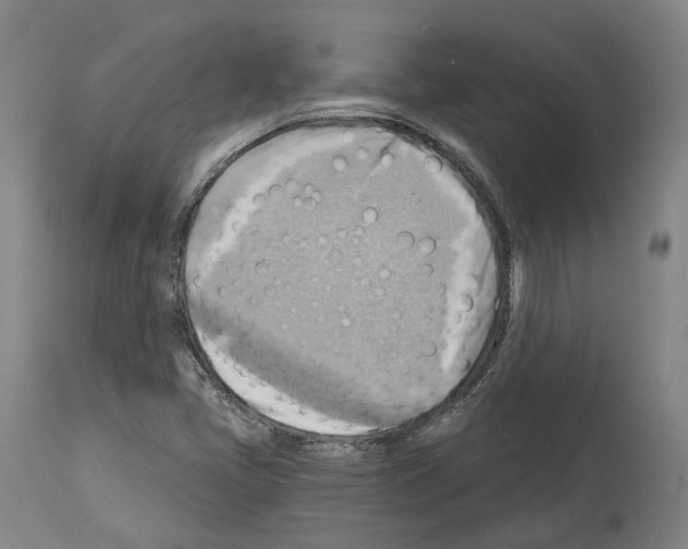 X0000114021405200911131216