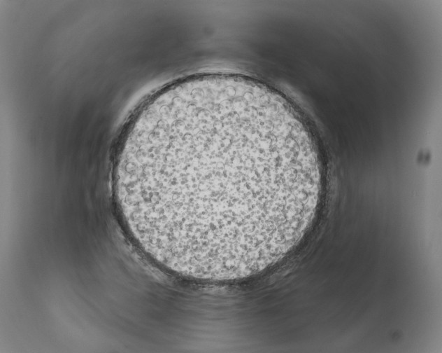 X0000114021408200911131216