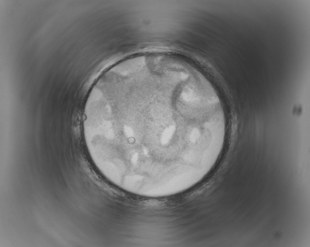 X0000114021409200911131216