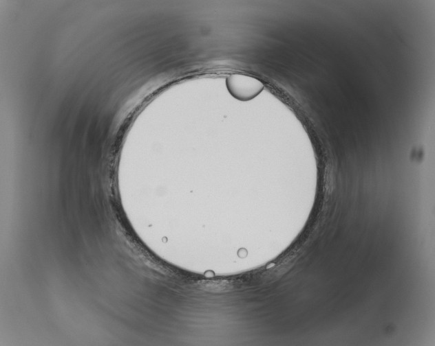 X0000114021410200911131216