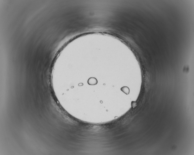 X0000114021412200911131216