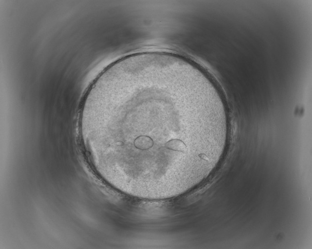 X0000114021415200911131216