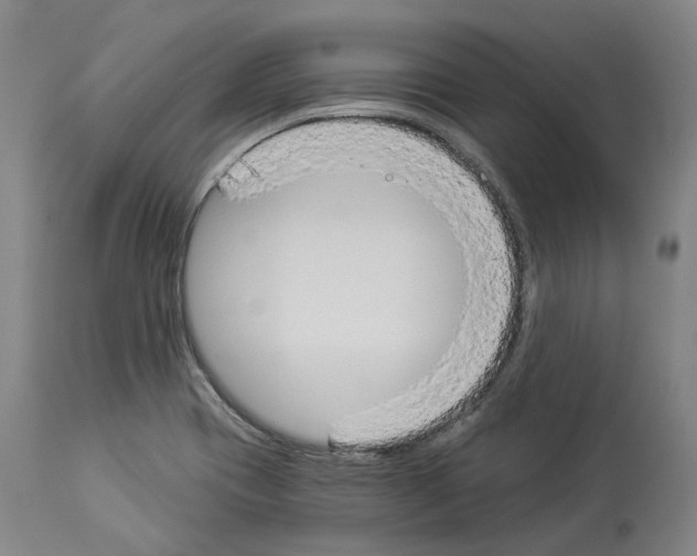 X0000114021417200911131216