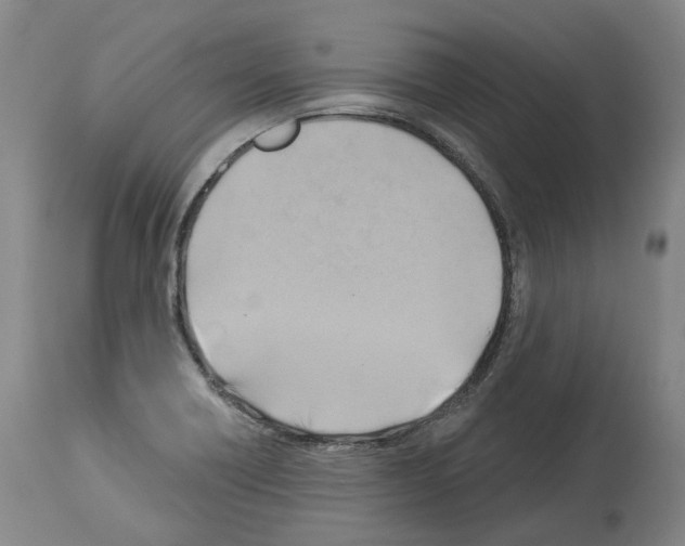 X0000114021418200911131216