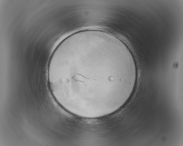 X0000114021428200911131217