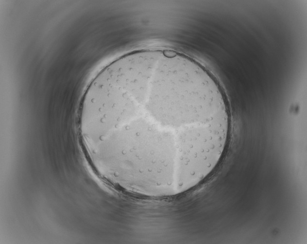 X0000114021429200911131217