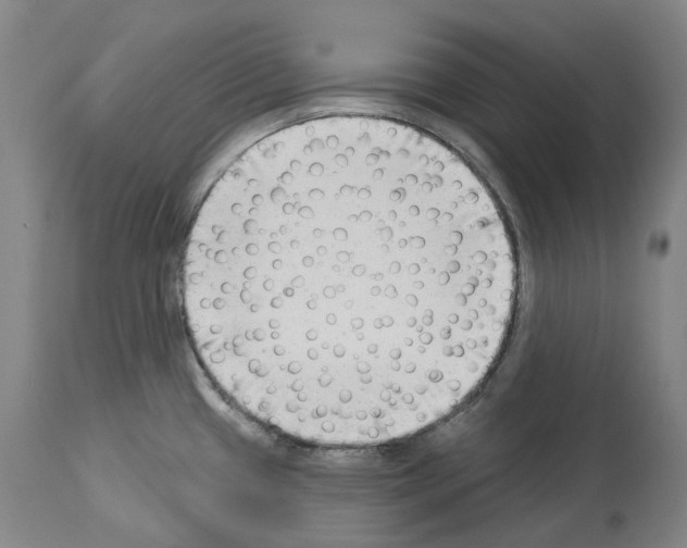 X0000114021433200911131217