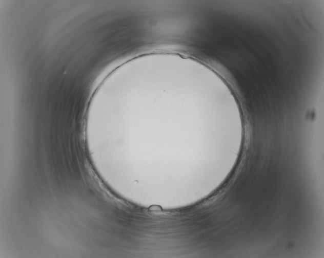 X0000114021436200911131217