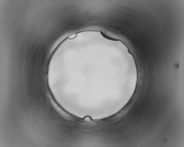 X0000114021438200911131217